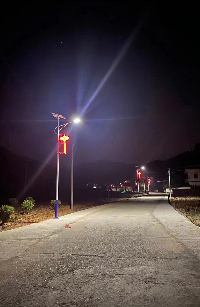 Solar street lights installed in China